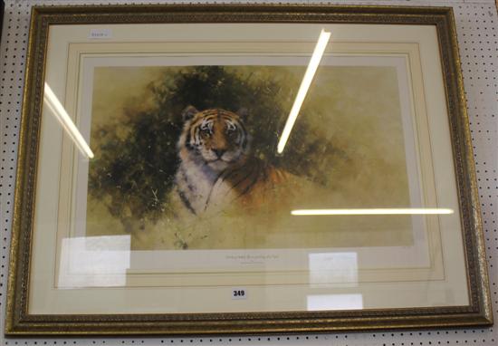 David Shepherd tiger print